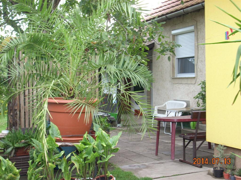 Abádszalók Kelemen Apartmanok מראה חיצוני תמונה